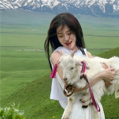 精灵宝可梦：大家的故事